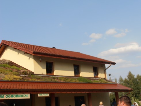 154.JPG