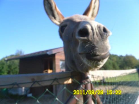 Snímek 1277.jpg