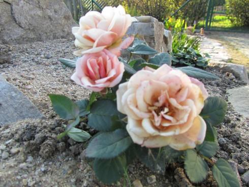 022.JPG