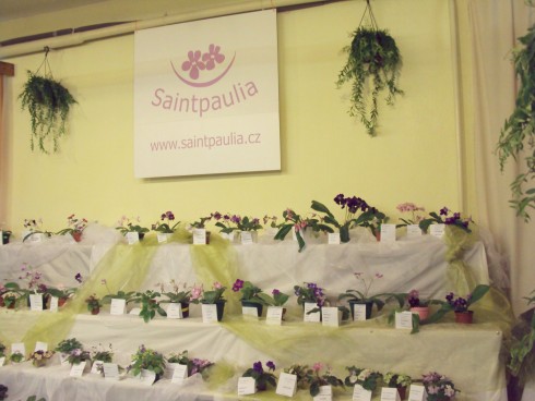 castolovice 2011 32.jpg