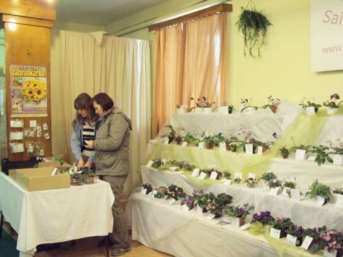 castolovice 2011 33.jpg