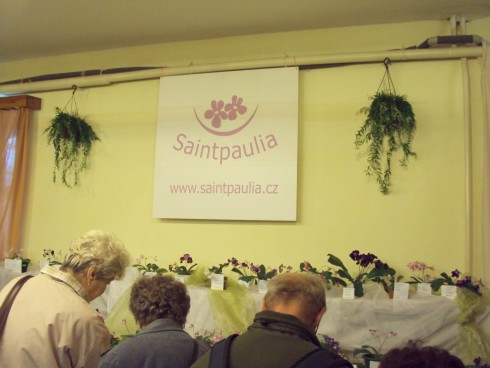 castolovice 2011 28.jpg