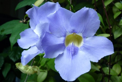 11.10.2011     2 008.jpg