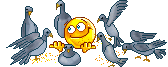 :11835: