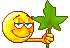 :8656: